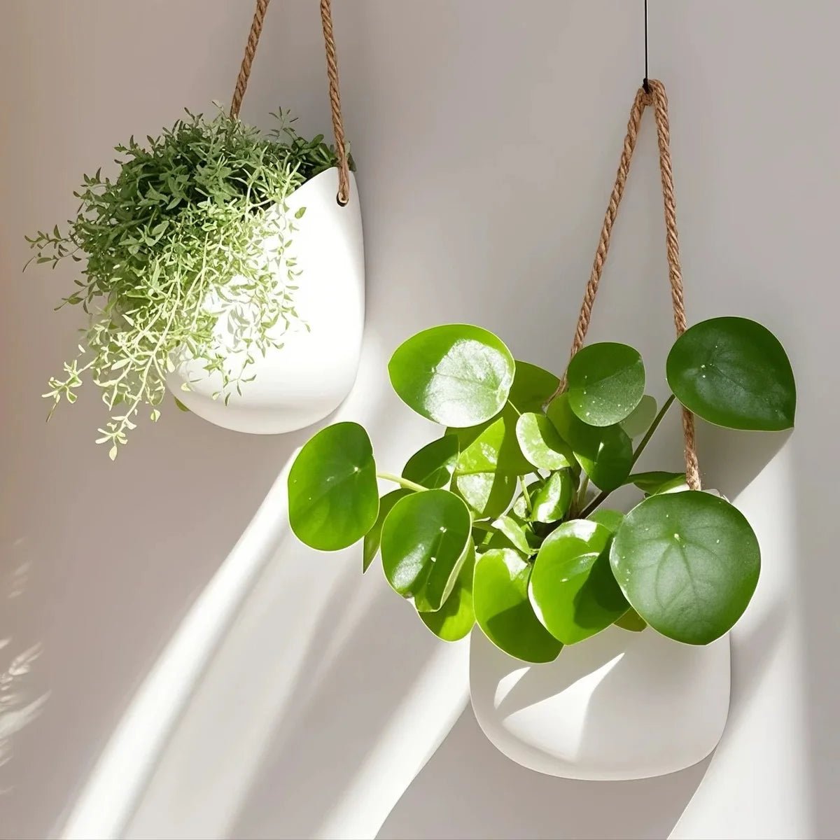 Planter For Space-Saving Green Decoration