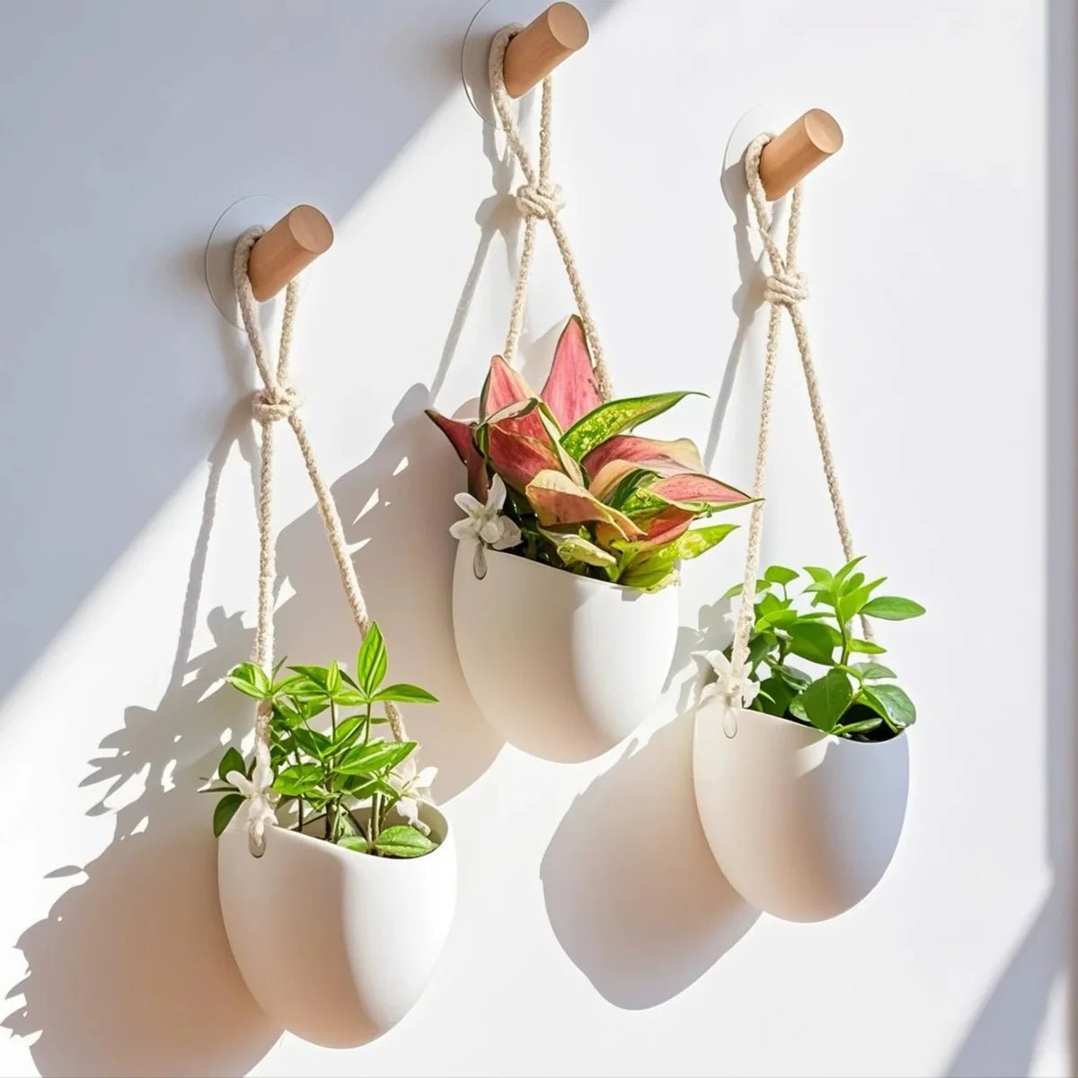 Planter For Space-Saving Green Decoration