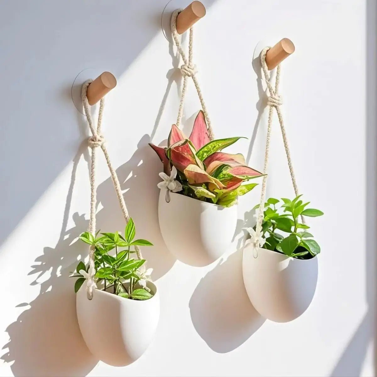 Planter For Space-Saving Green Decoration