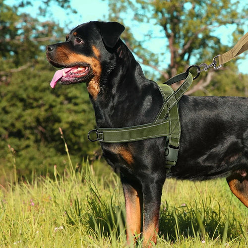 adjustable-no-pull-reflective-mesh-dog-harness-with-handle-img1.webp