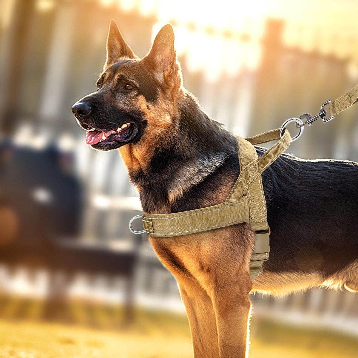 adjustable-no-pull-reflective-mesh-dog-harness-with-handle-img2.jpg