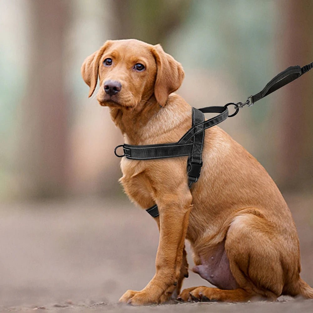 adjustable-no-pull-reflective-mesh-dog-harness-with-handle-img3.webp