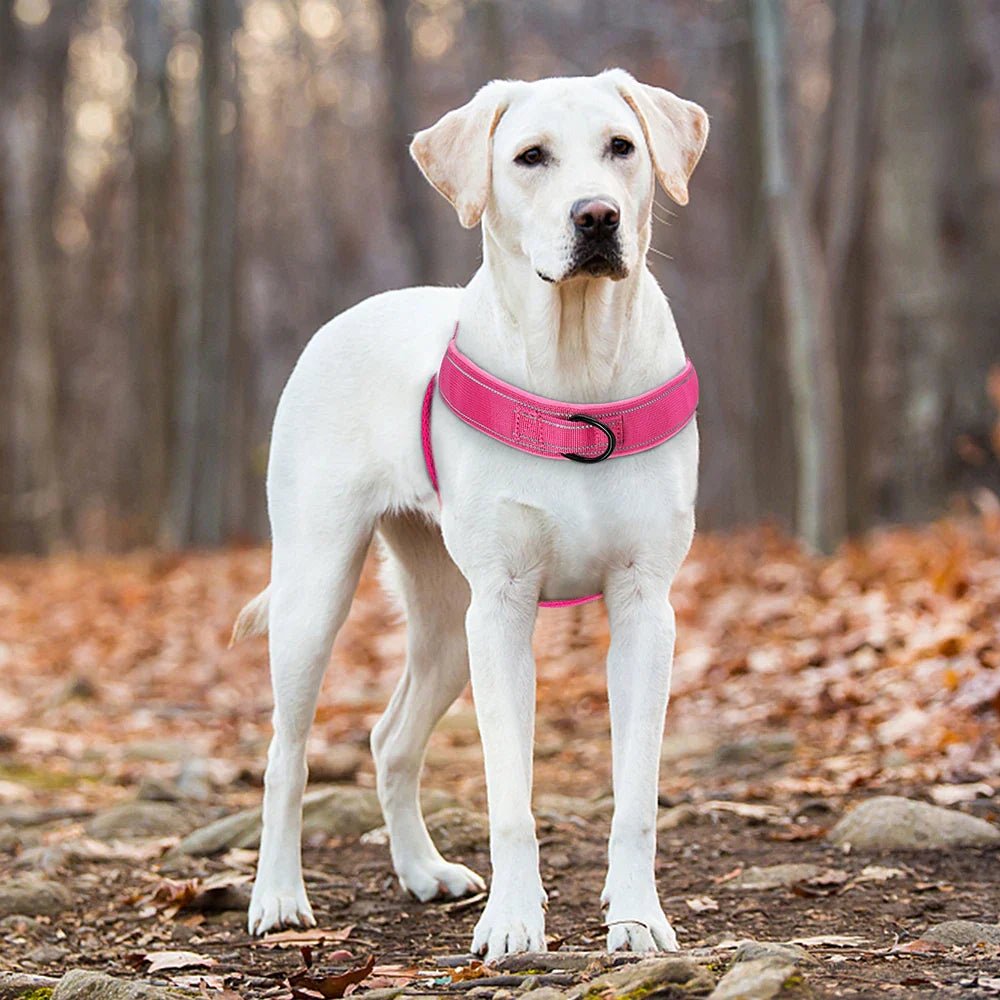 adjustable-no-pull-reflective-mesh-dog-harness-with-handle-img4.jpg