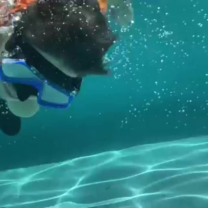 Anti-Leak Snorkel and Mask Set with Wide View