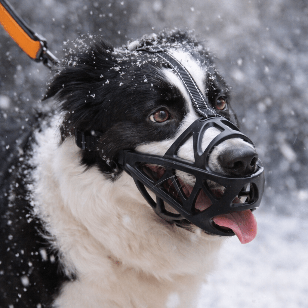 breathable-soft-fit-dog-muzzle-for-gentle-behavior-control-img1.png