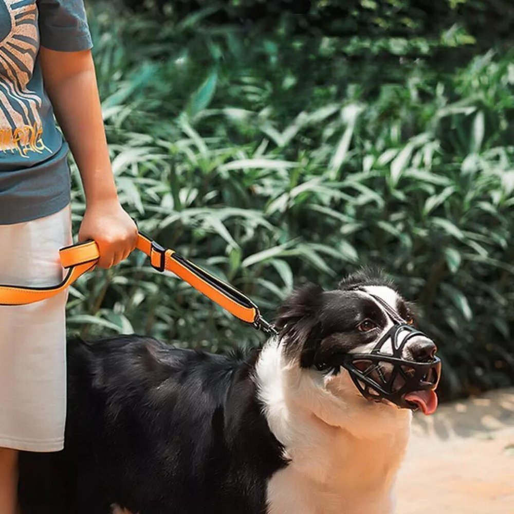 breathable-soft-fit-dog-muzzle-for-gentle-behavior-control-img10.jpg