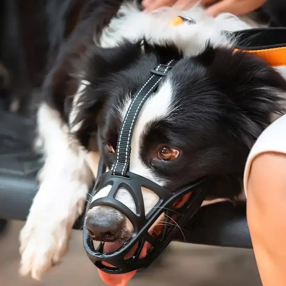 breathable-soft-fit-dog-muzzle-for-gentle-behavior-control-img3.jpg