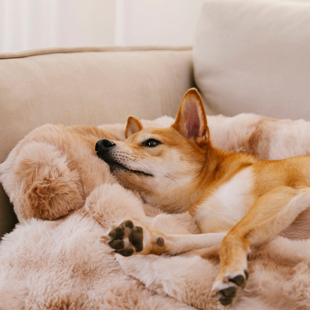 calming-non-slip-plush-dog-cat-couch-cover-mat-img5.jpg