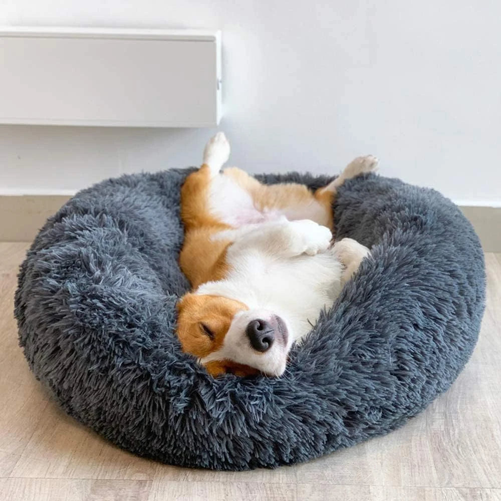 calming-washable-plush-dog-bed-with-raised-edges-img1.jpg