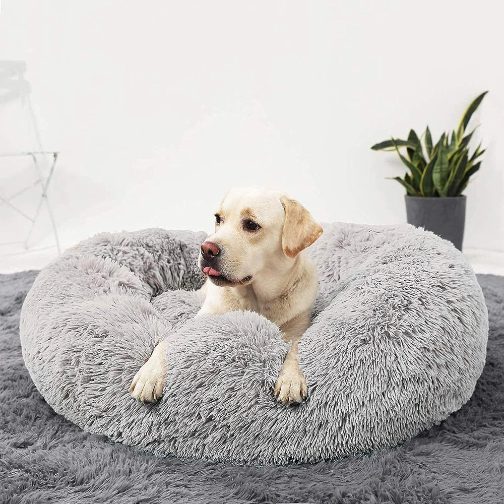 calming-washable-plush-dog-bed-with-raised-edges-img3.jpg