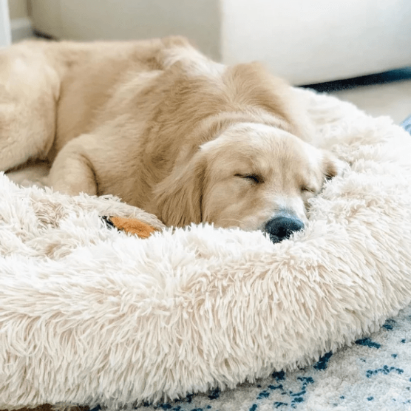 calming-washable-plush-donut-dog-cat-bed-with-non-slip-base-img7.png