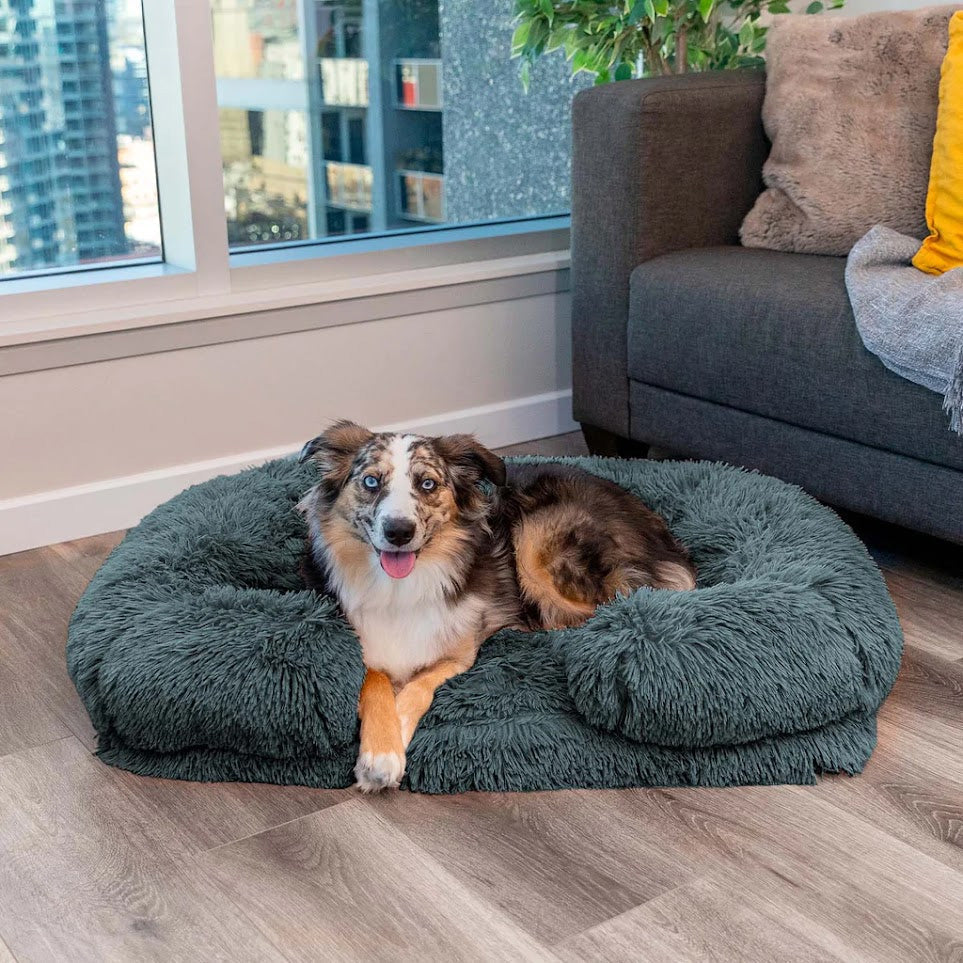 calming-waterproof-memory-foam-plush-dog-bed-with-non-slip-bottom-img1.jpg