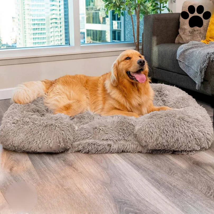 calming-waterproof-memory-foam-plush-dog-bed-with-non-slip-bottom-img2.png