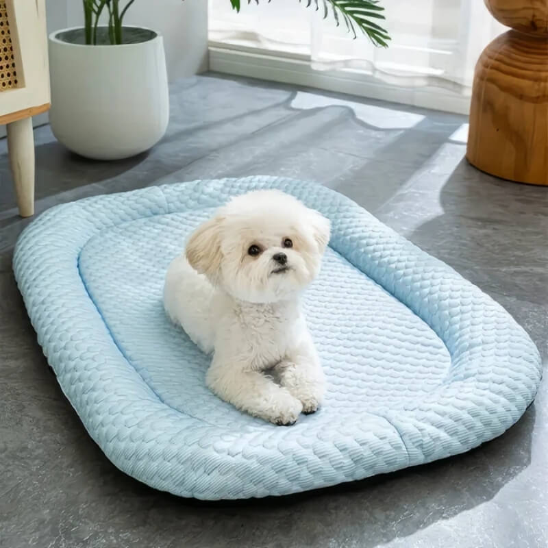 cooling-non-slip-washable-dog-bed-with-removable-cover-img1.jpg