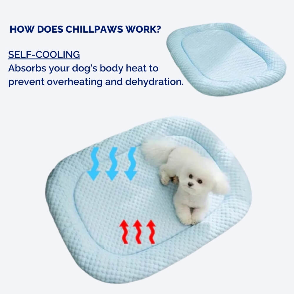 cooling-non-slip-washable-dog-bed-with-removable-cover-img6.jpg