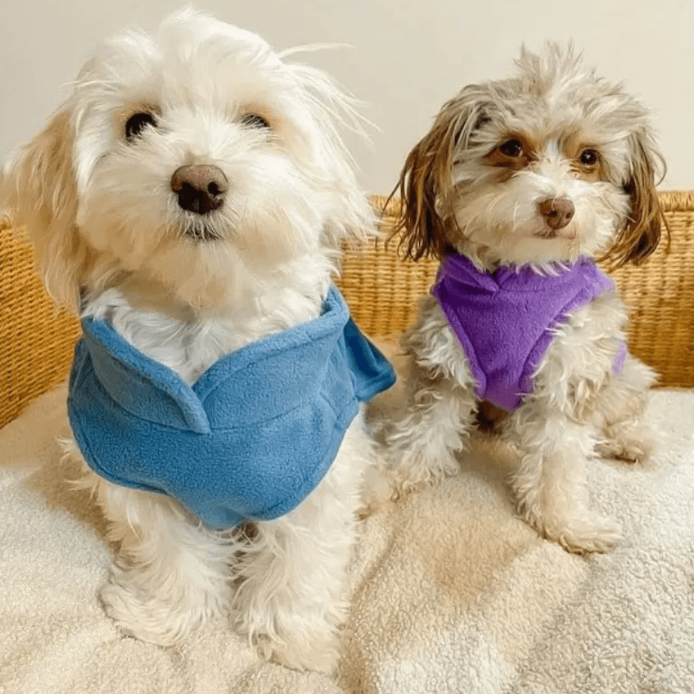 cozy-fleece-dog-vest-for-small-breeds-img2.png