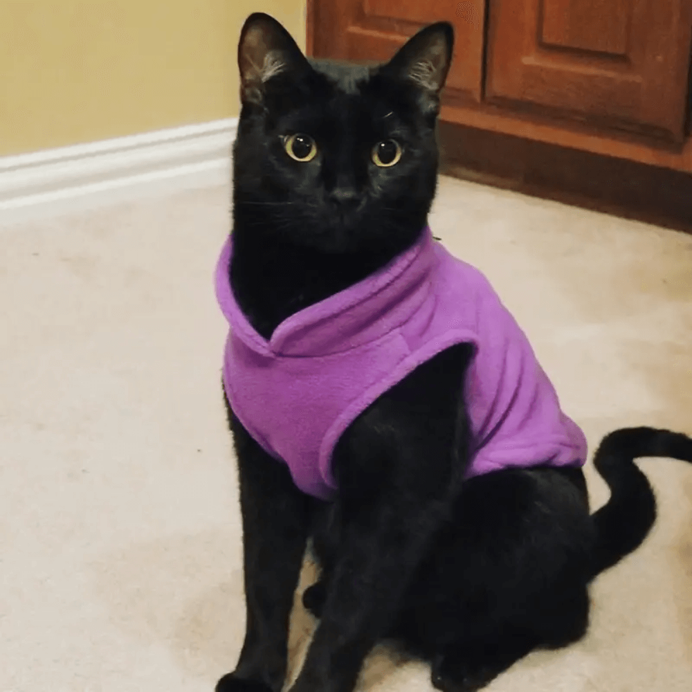 cozy-fleece-dog-vest-for-small-breeds-img4.png
