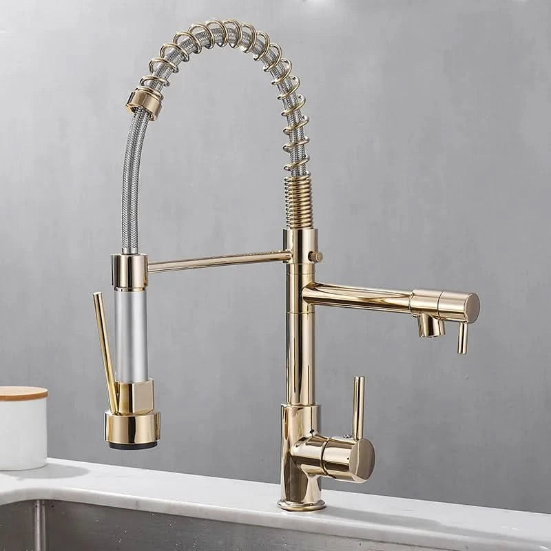 dual-spout-brass-kitchen-faucet-in-black-and-gold-img1.webp