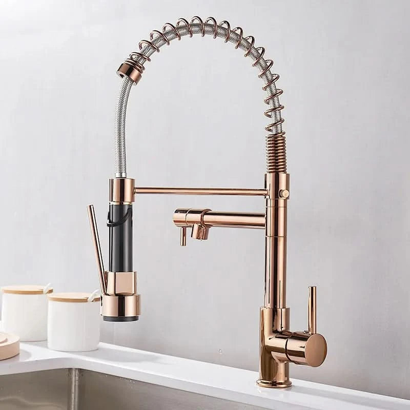 dual-spout-brass-kitchen-faucet-in-black-and-gold-img2.webp