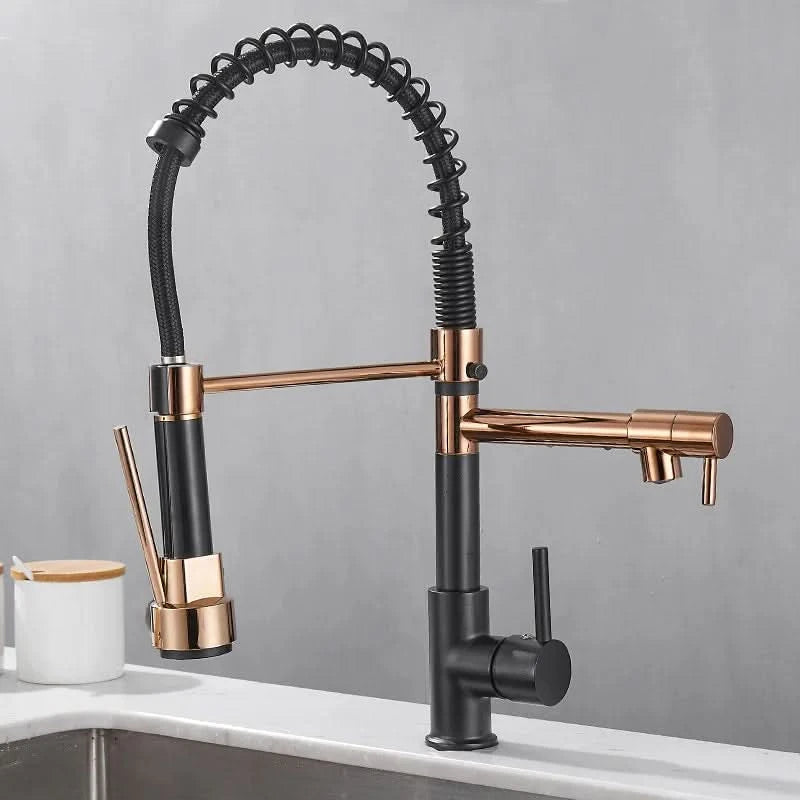 dual-spout-brass-kitchen-faucet-in-black-and-gold-img7.webp