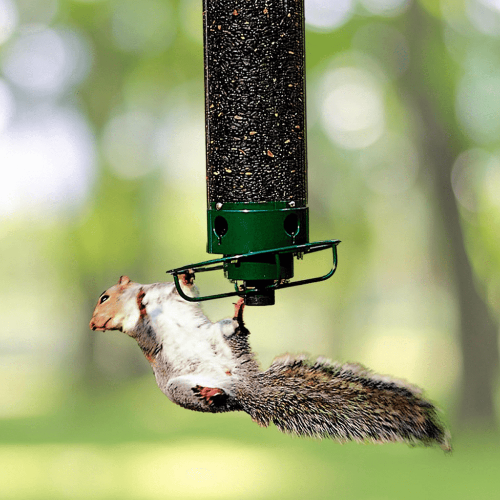 Bird Feeder With Multi-Port System And Protective Function