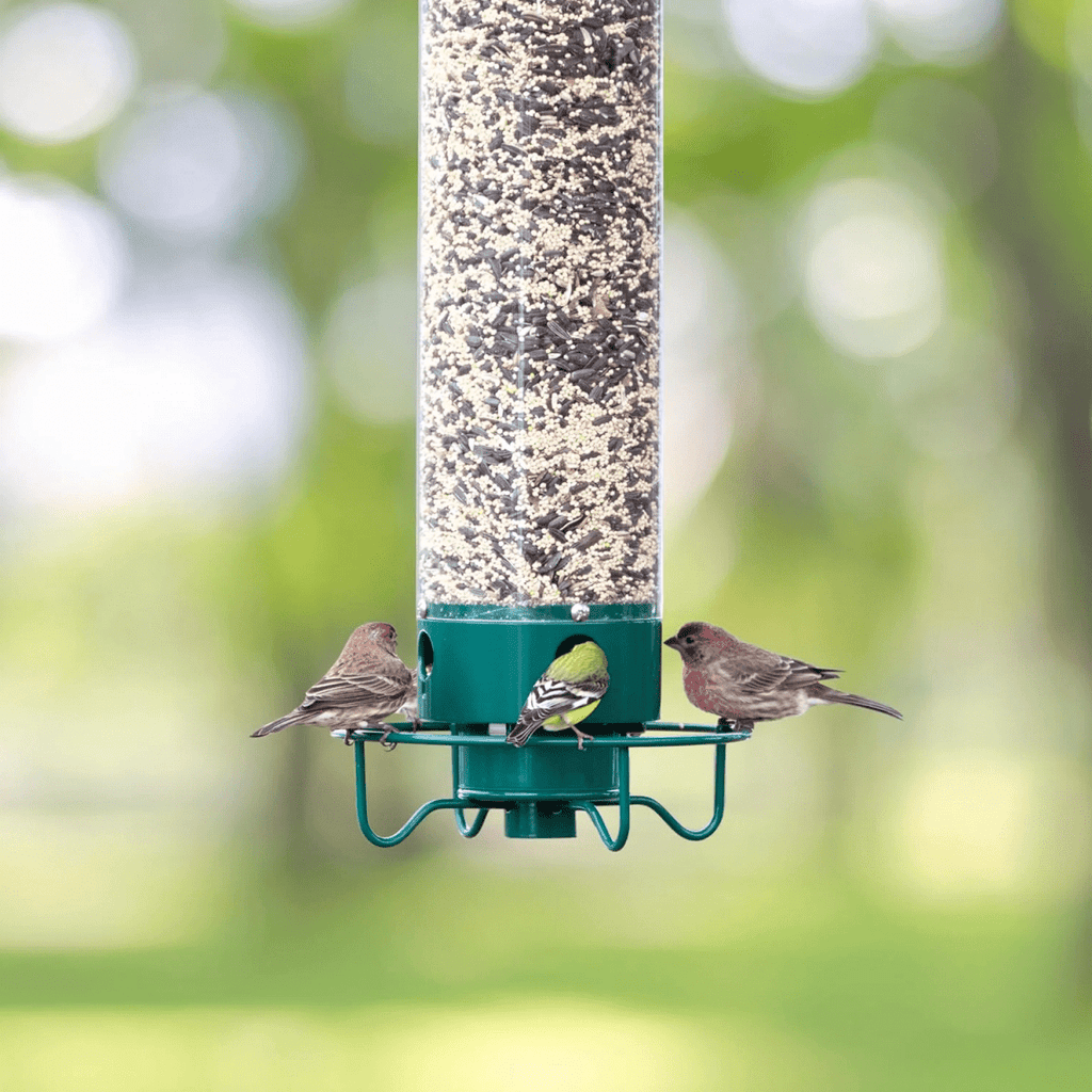 Bird Feeder With Multi-Port System And Protective Function