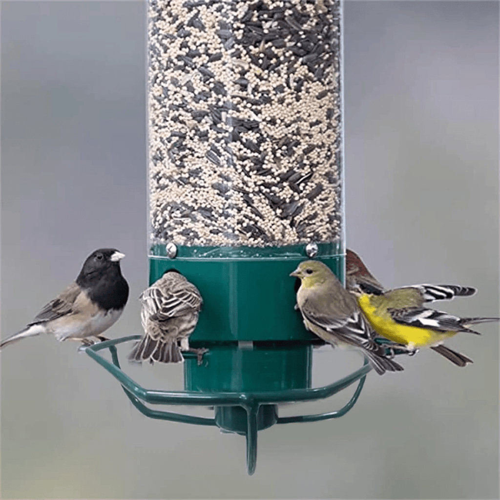 Bird Feeder With Multi-Port System And Protective Function