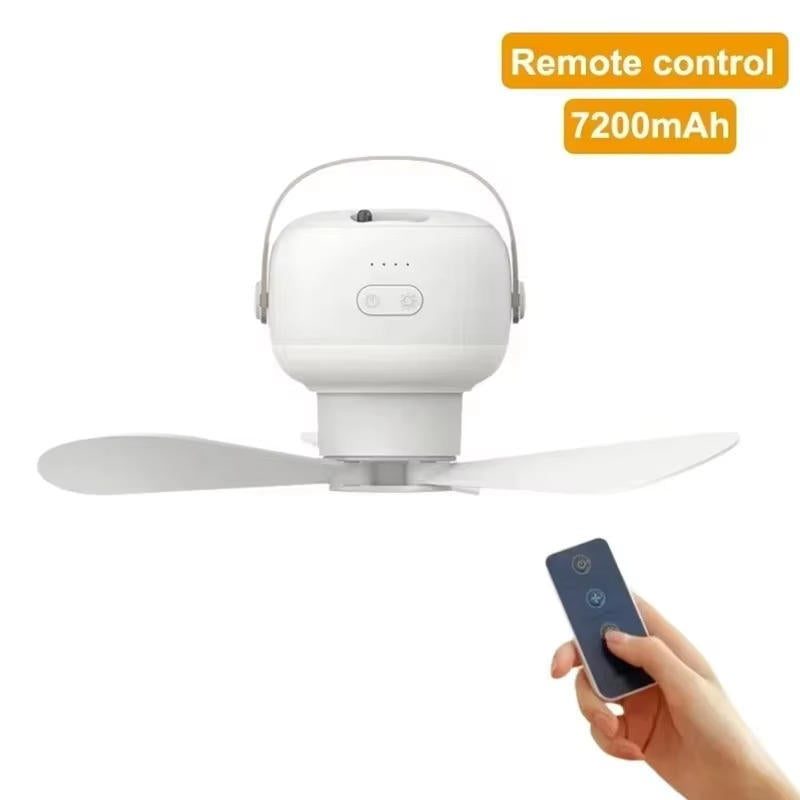 Wireless Ceiling Fan