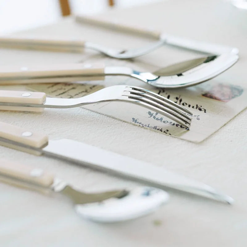 elegant-stainless-steel-cutlery-set-24-piece-dishwasher-safe-img7.webp