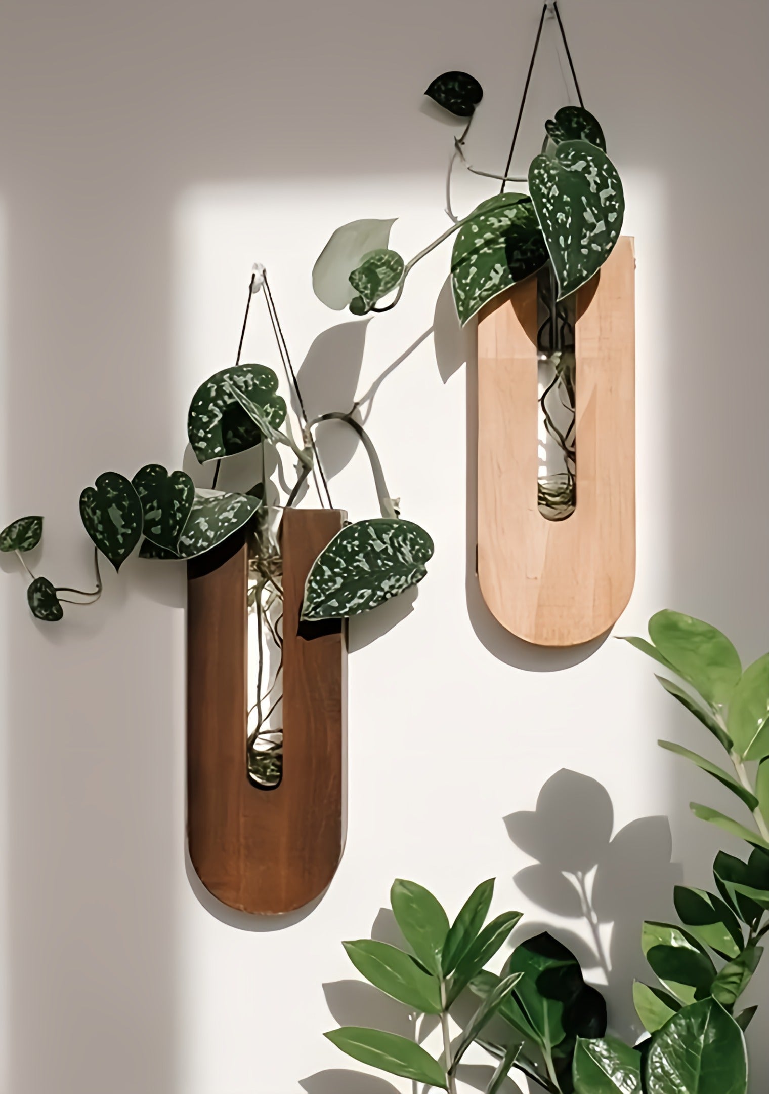 Wall-Mounted Planter