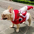 festive-christmas-dog-costume-santa-design-img1.jpg