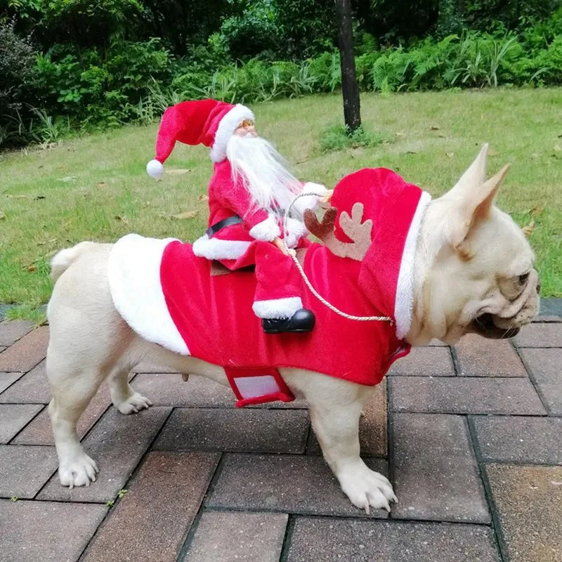 festive-christmas-dog-costume-santa-design-img2.jpg