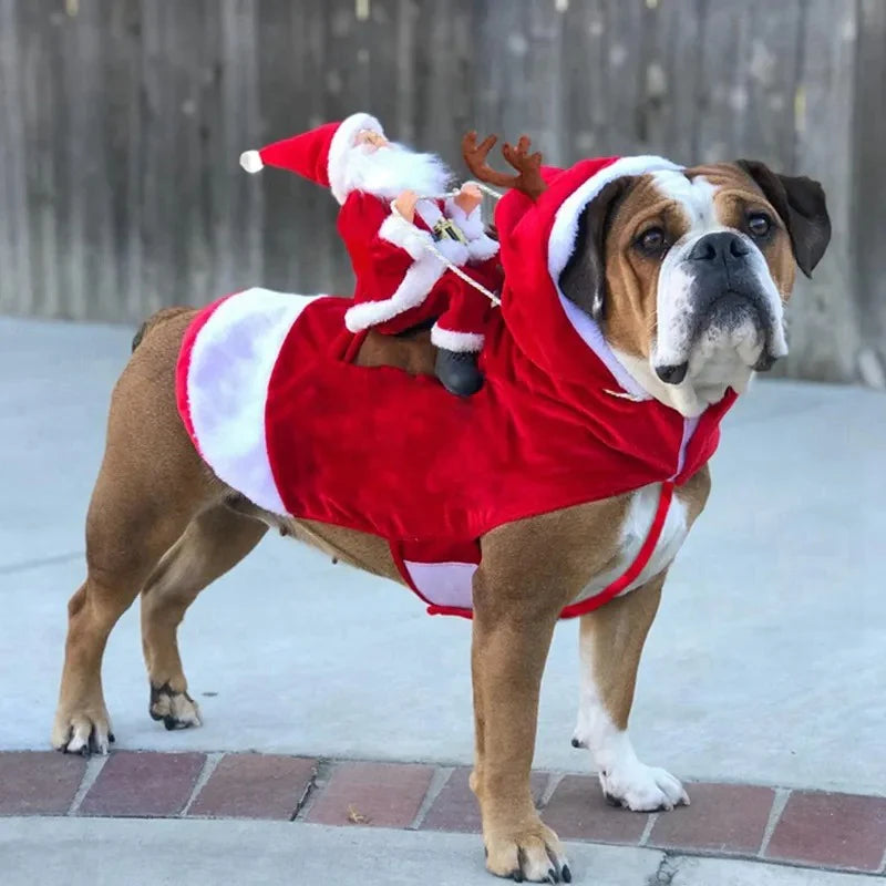 festive-christmas-dog-costume-santa-design-img3.jpg