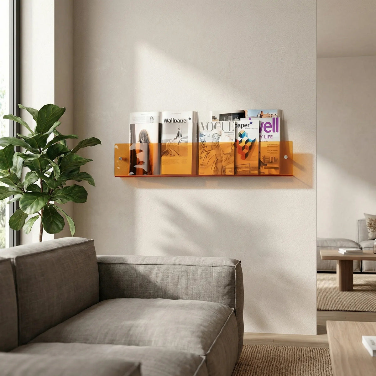 floating-semi-transparent-wall-shelf-for-books-and-magazines-img1.webp