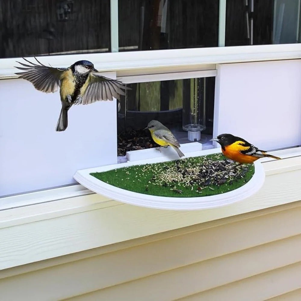 View Window Bird Feeder With Wide Angle Visibility