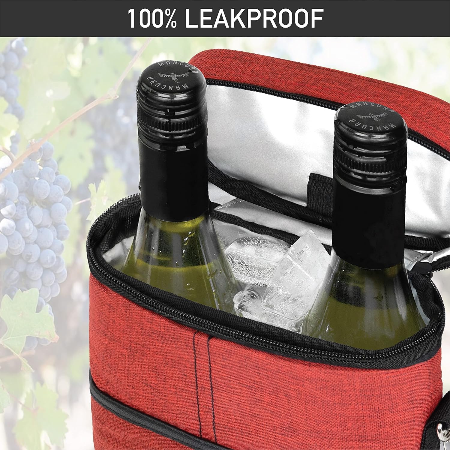 Insulated Cooler Bag