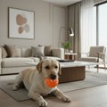 interactive-rechargeable-automatic-bouncing-dog-toy-ball-img1.webp