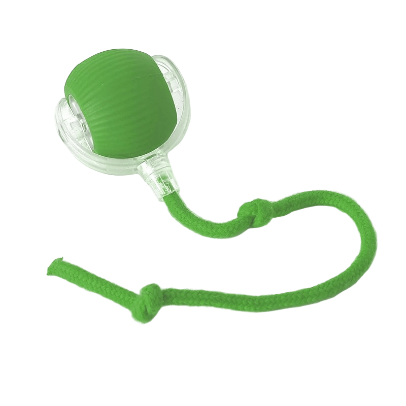 interactive-rechargeable-automatic-bouncing-dog-toy-ball-img11.png