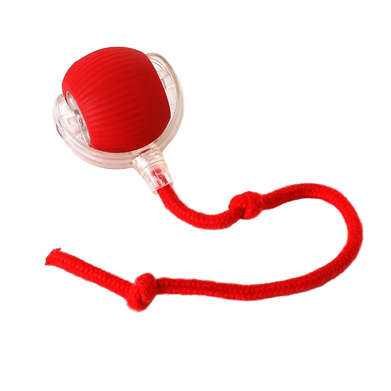 interactive-rechargeable-automatic-bouncing-dog-toy-ball-img18.png