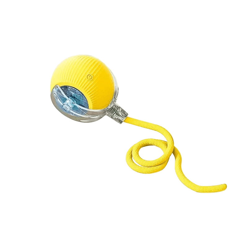 interactive-rechargeable-automatic-bouncing-dog-toy-ball-img19.png
