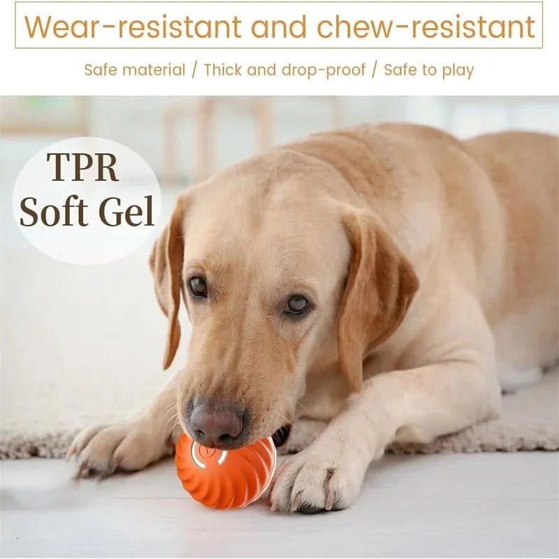 interactive-rechargeable-automatic-bouncing-dog-toy-ball-img22.jpg