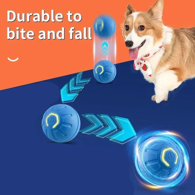 interactive-rechargeable-automatic-bouncing-dog-toy-ball-img23.webp