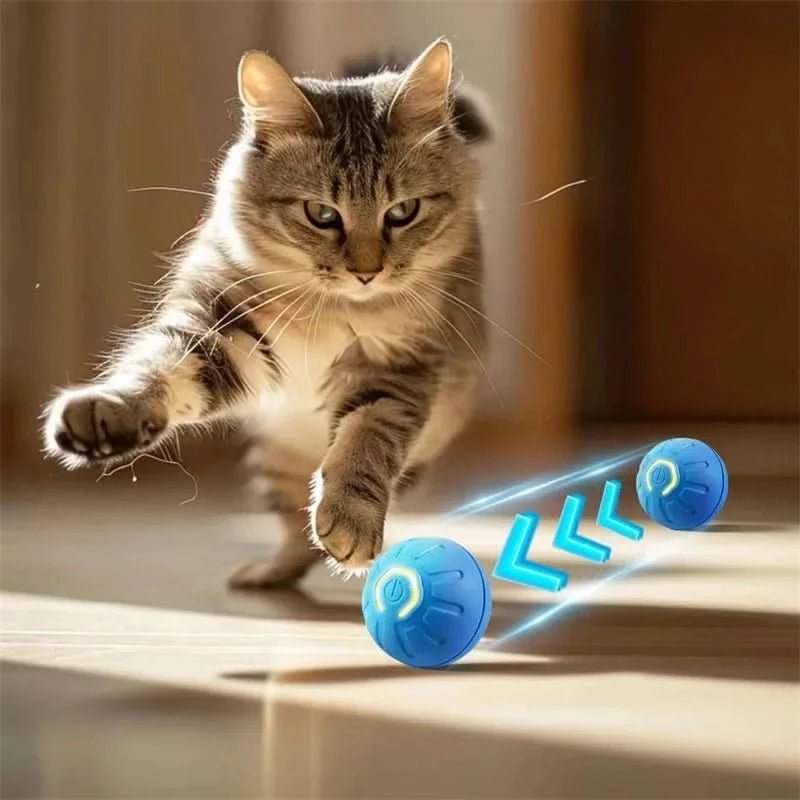 interactive-rechargeable-automatic-bouncing-dog-toy-ball-img3.webp