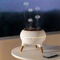 jellyfish-aroma-diffuser-and-humidifier-with-multi-color-glow-img1.png