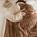 lambswool-fleece-winter-blanket-thick-warm-breathable-throw-img1.webp