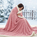 microfiber-fleece-double-sided-blanket-lambswool-warmth-ultra-soft-img1.png
