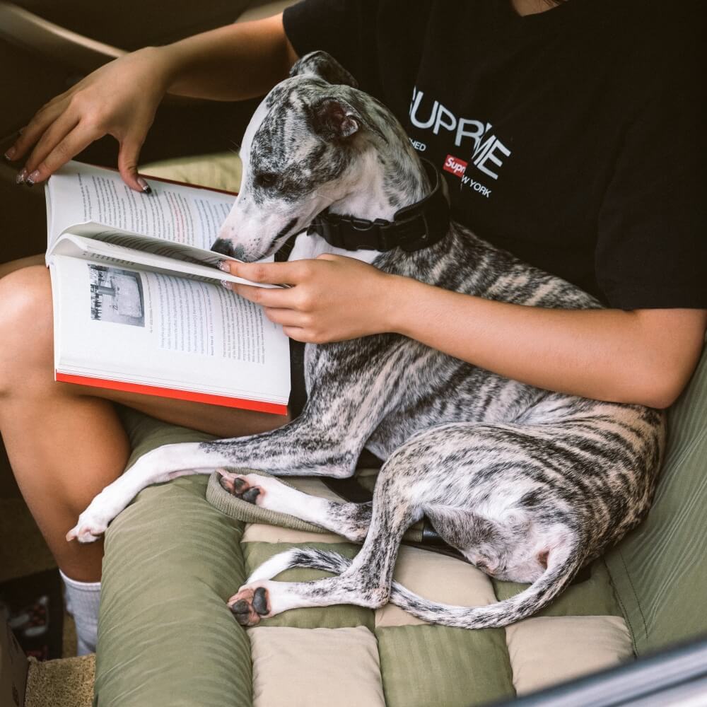 non-slip-oxford-bolster-dog-car-seat-bed-for-large-breeds-img9.jpg
