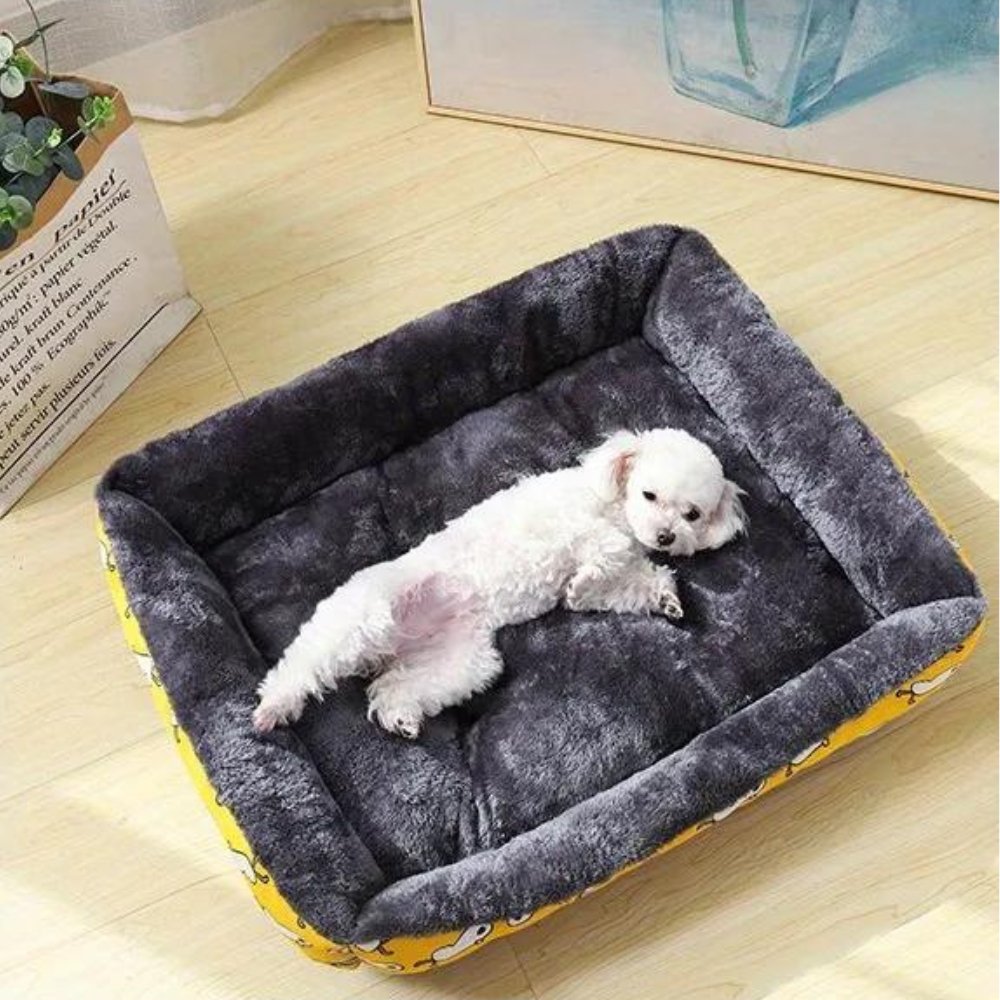 non-slip-plush-dog-bed-with-all-season-padding-img6.jpg