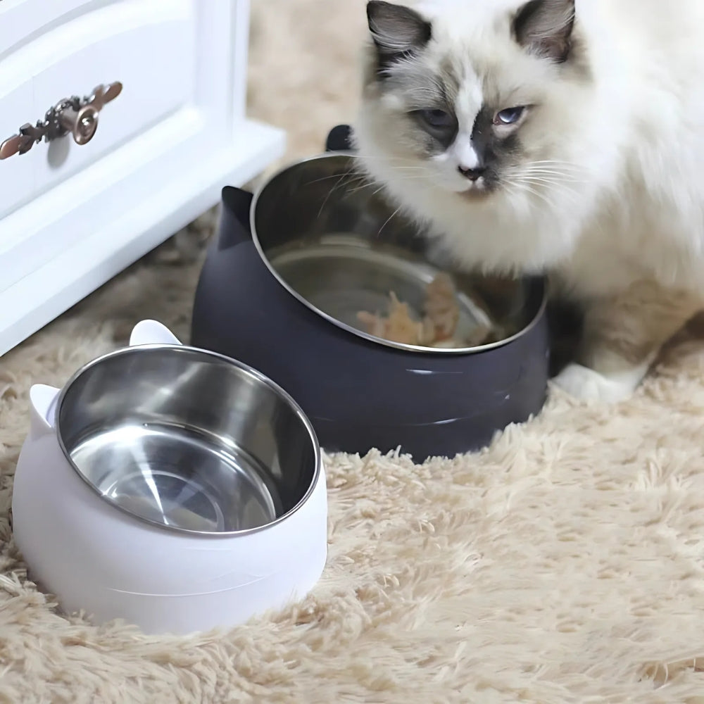 non-slip-tilted-stainless-steel-cat-feeding-bowl-img6.jpg