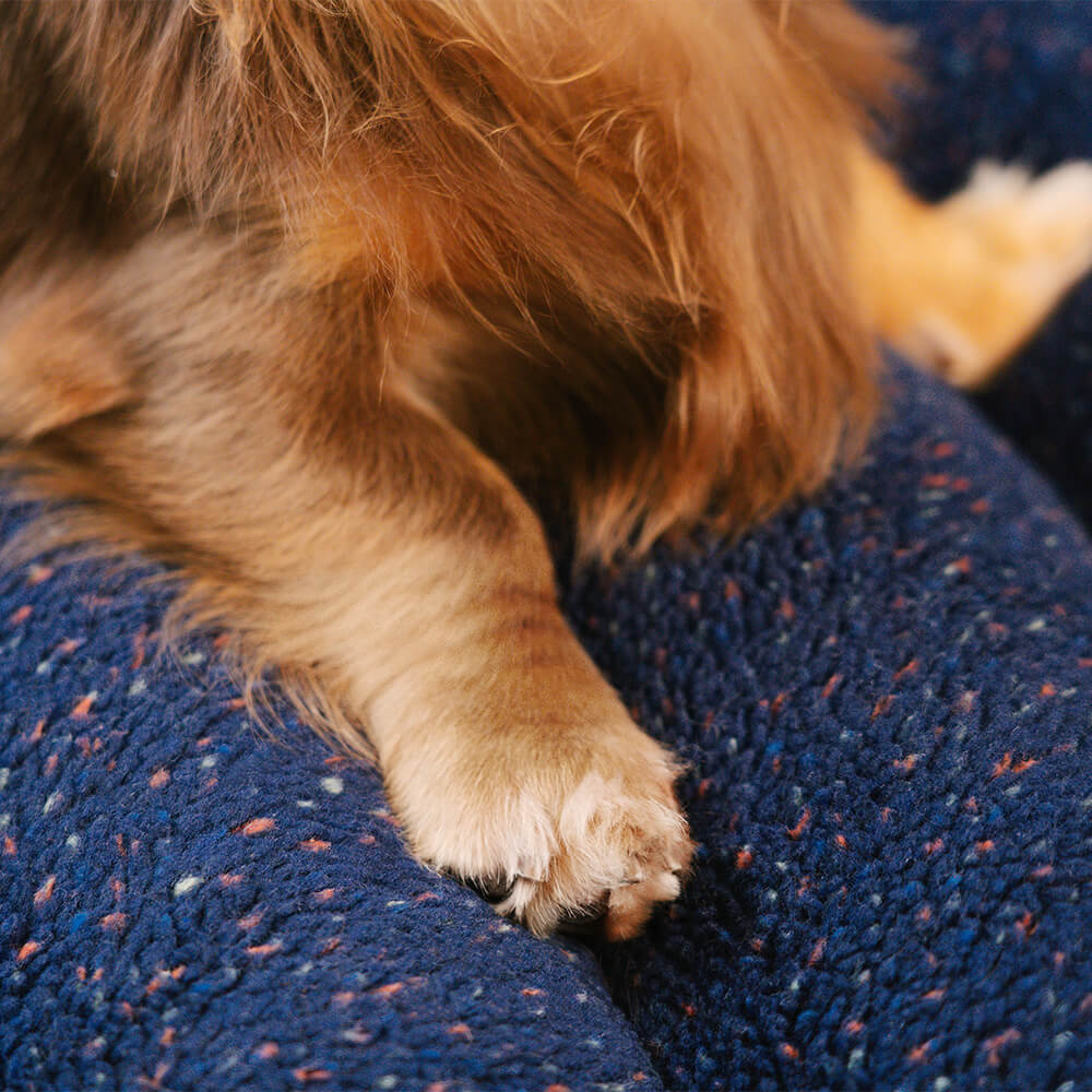 orthopedic-non-slip-fleece-dog-bed-with-removable-washable-cover-img5.jpg